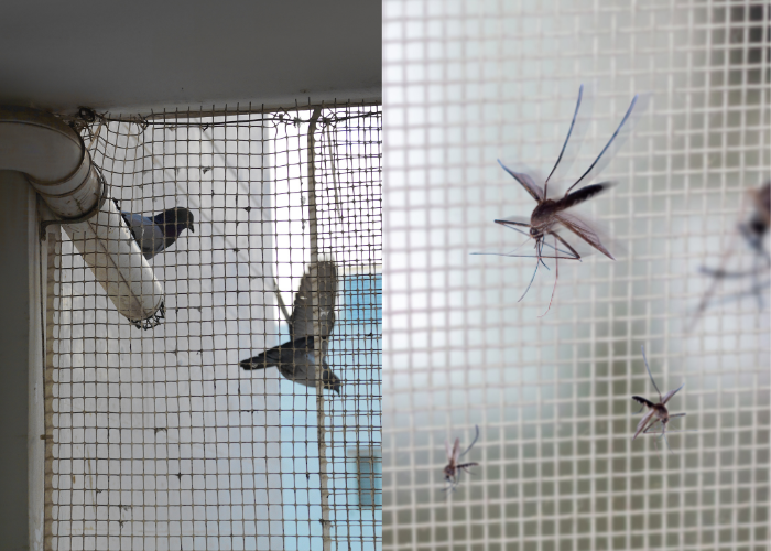 Mosquito Nets